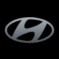 Hyundai icon